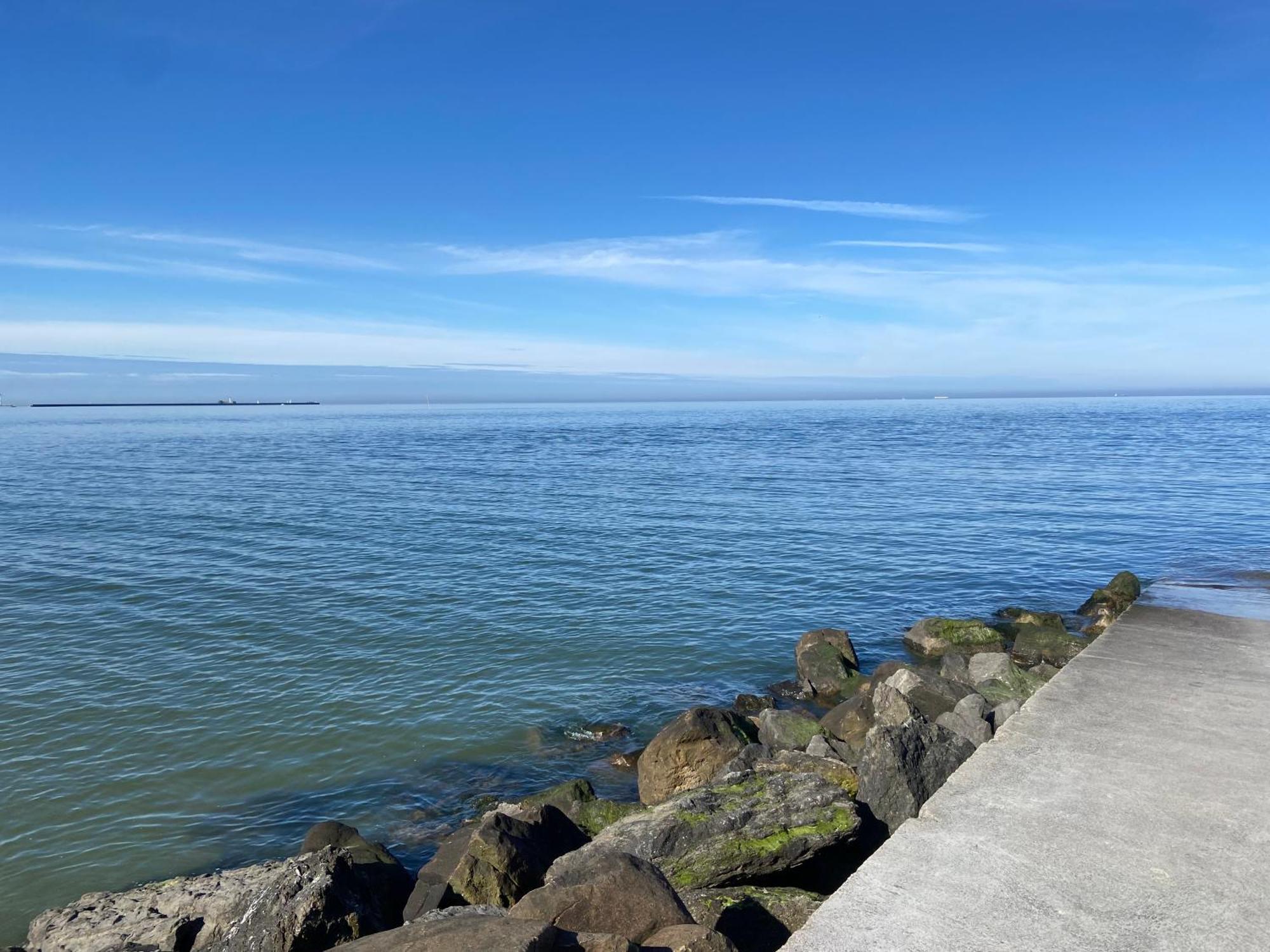 Brise De Mer Sur La Naturelle, Studio A Wimereux , Parking Eksteriør billede